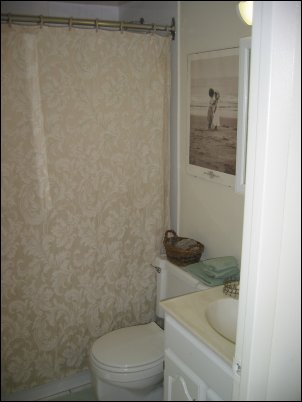 I kept the old shower curtain and art, but bought new, seagreen towels and floor mats.  All of the fixtures in the washroom were replaced in the renovation.  Yowza!