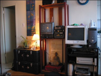This is what you would see if you were standing between the desk and the futon.
<p>
I call it the 'blue' wall because all of my blue decorative elements are there.  The wall hanging on the left is by New Brunswick artist Margaret Boyle.
<p>
My entertainment centre features TV, VCR, Stereo and Buddha.