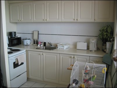 The Kitchen, and Chippie, who now lives on top of the blanket box (which is sort of halfway sticking out of the kitchen).
<p>
During the reno, everything in the kitchen was replaced - floor, cabinets, applicances.  I love the applicances!