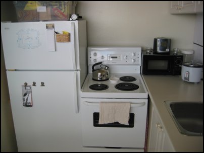 My fridge is apartment-sized, which is perfect for me.  The stove is clean, wonderfully clean.  The sink is shiny stainless steel.  Can you tell that I'm really happy with the kitchen?