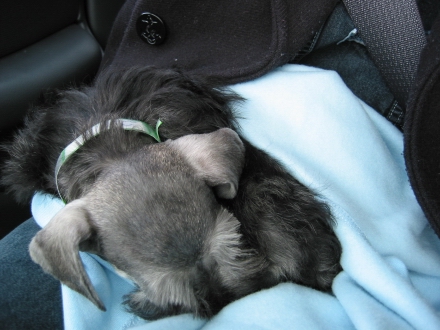 Sound asleep...
