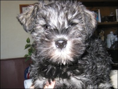 She won't be able to come home until she is 10 weeks old.