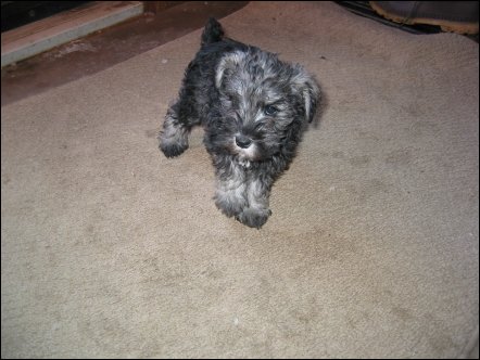 I'm returning to Brantford on February 1st to come take her home.