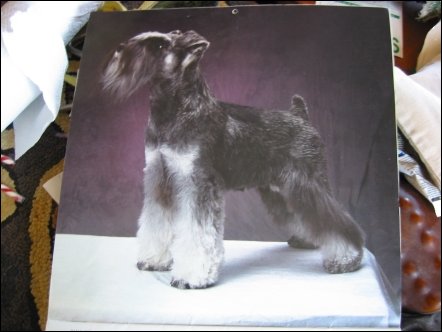 This is a calendar photograph of Major, Dusty's father.